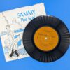 Lot of 4 Vintage Children's Story Records: Frog and Toad, Mr. Pig, Sammy the Seal, Small Pig- Collectible Vinyl - Image 6