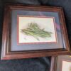 Set of 2 Signed Julia Grainer Vegetable Prints / Radish and Green Bean Wall Art / Framed Farmhouse Decor - Image 6