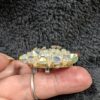 Choice of Vintage Rhinestone Brooches | Sparkling Aurora Borealis Dome or Mid-Century Crystal Flower Pin – Retro Glam at Its Finest! - Image 4