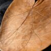 Hand-Carved Wooden Trays | Choose Butternut Leaf from North Carolina or Norway Leaf, or Long Rectangle Tray | Rustic Artisan Serveware - Image 6