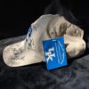 University of Kentucky Big Blue Caravan Hat | Autographed: Tubby Smith, Rich Brooks, Joker Phillips & More | New w/Tag | UK Big Blue Nation - Image 3