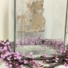Antique Kis-Me Gum Jar | Embossed Glass Advertising with Label | Louisville KY Candy Co. | Early 1900s Store Display | Rare Americana Find - Image 4