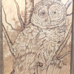 Handmade Owl Pyrography Wall Art | Rustic Burned Wood Forest Decor | Woodland Cabin Style Wall Hanging | Nature Lover Gift | Stunning Detail