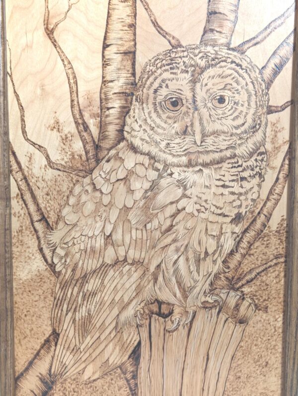 Handmade Owl Pyrography Wall Art | Rustic Burned Wood Forest Decor | Woodland Cabin Style Wall Hanging | Nature Lover Gift | Stunning Detail
