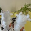 Vintage Cow Salt and Pepper Shakers | Cute Cow Set with Brown Spots and Bows | Farmhouse Salt & Pepper Set | Barnyard Fun - Image 2