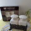 Chris Madden Forêt Salt & Pepper Shaker Set | Ivory Ceramic with Cast Iron Stand | JCPenney Home Collection | Rustic French Kitchen Decor - Image 10