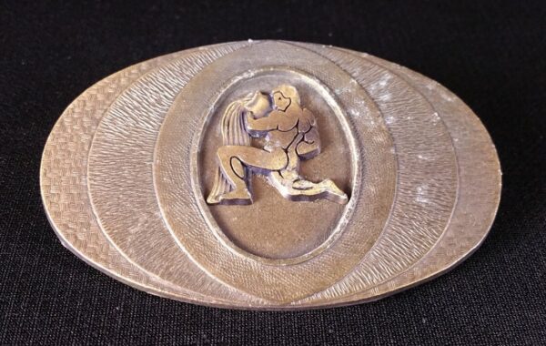Vintage brass Aquarius astrology sign belt buckle